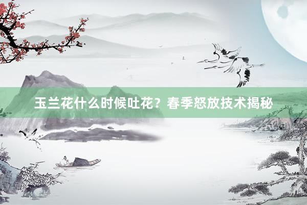 玉兰花什么时候吐花？春季怒放技术揭秘