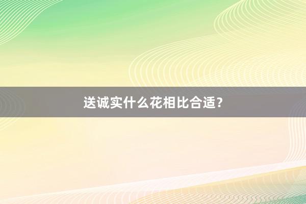 送诚实什么花相比合适？